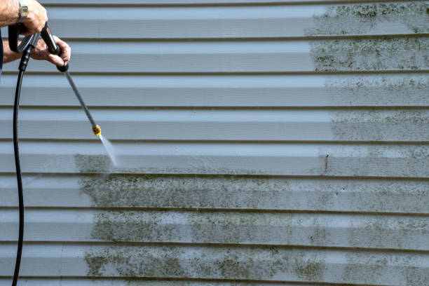 Best Siding Painting and Refinishing  in Duson, LA